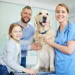 The Ultimate Guide to Pet Grooming at Home with Pawsh Pet Care