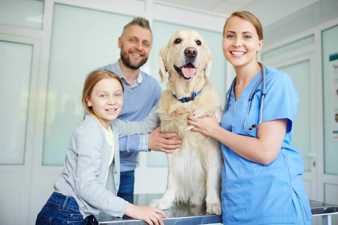 The Ultimate Guide to Pet Grooming at Home with Pawsh Pet Care